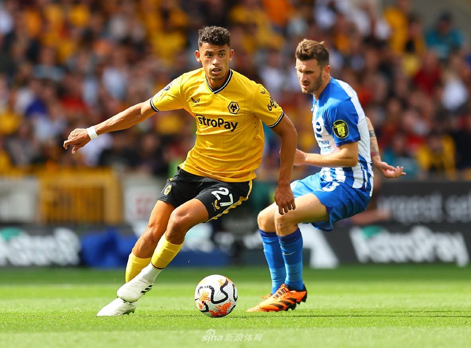 的奥运冠军 的奥运冠军