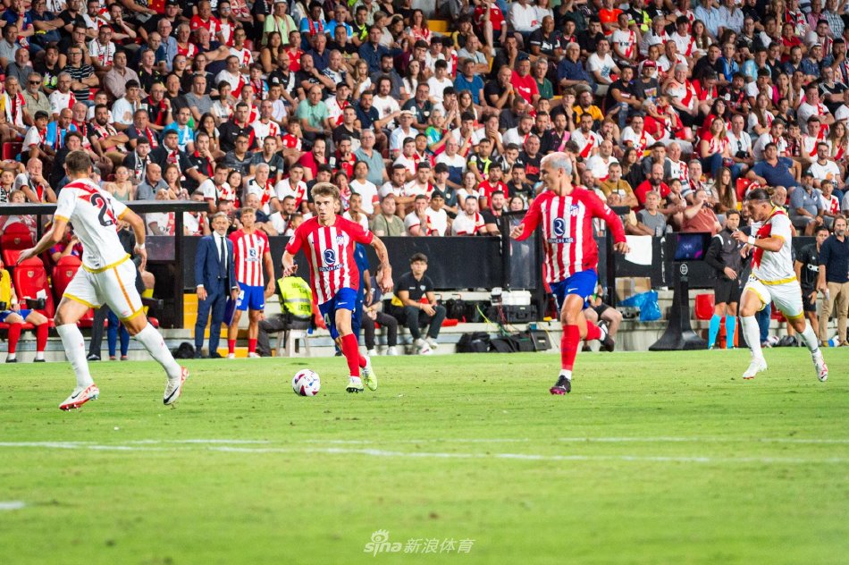 中的稳定表 中的稳定表